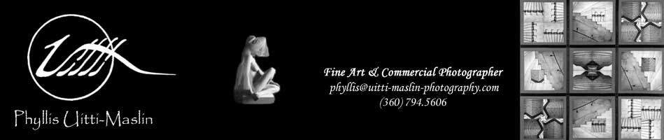 Phyllis Uitti-Maslin ... Fine Art & Commercial Photographer