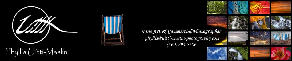 Phyllis Uitti-Maslin ... Fine Art & Commercial Photographer